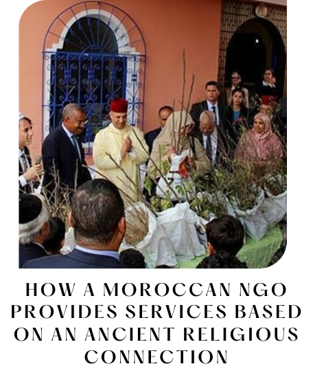 Tree Planting Program Update – 2025 Since the start of 2025, HAF has made significant strides in tree planting, strengthening partnerships, expanding nurseries, and increasing community engagement-28