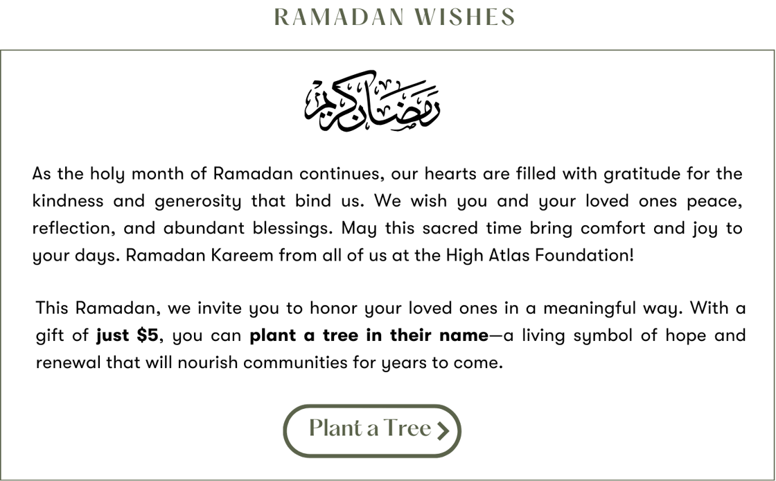 Tree Planting Program Update – 2025 Since the start of 2025, HAF has made significant strides in tree planting, strengthening partnerships, expanding nurseries, and increasing community engagement-65