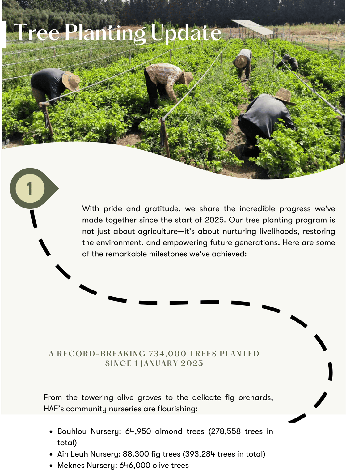 Tree Planting Program Update – 2025 Since the start of 2025, HAF has made significant strides in tree planting, strengthening partnerships, expanding nurseries, and increasing community engagement-68